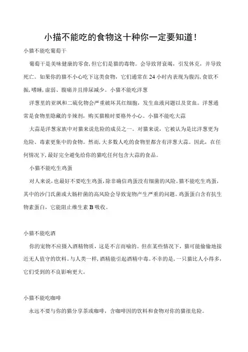 小猫不能吃的食物 这十种你一定要知道!