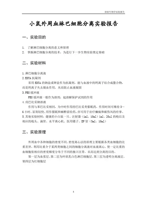 小鼠外周血淋巴细胞分离实验报告