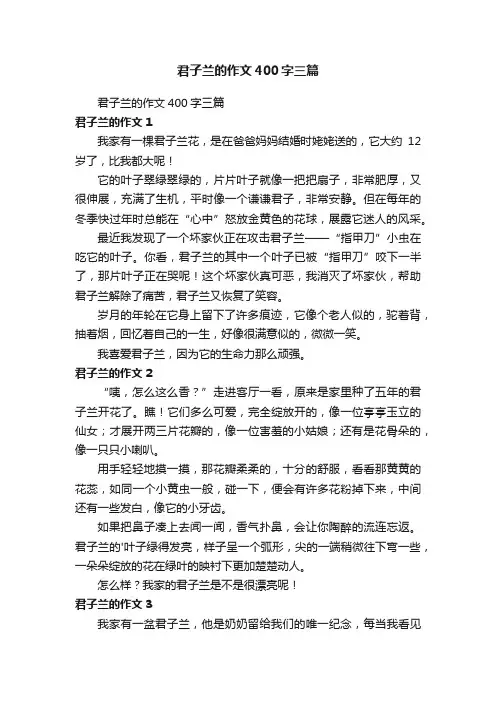 君子兰的作文400字三篇