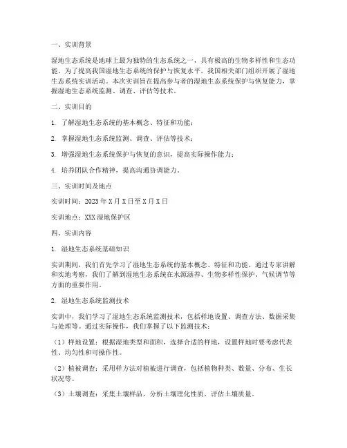 湿地生态系统实训报告