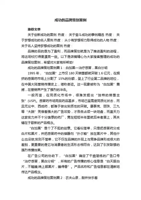 成功的品牌策划案例