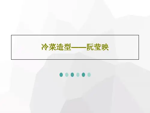 冷菜造型——阮莹映27页文档