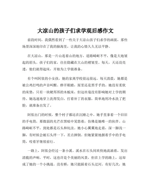 大凉山的孩子们求学观后感作文