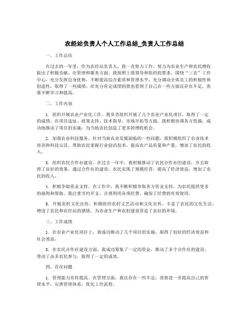 农经站负责人个人工作总结_负责人工作总结