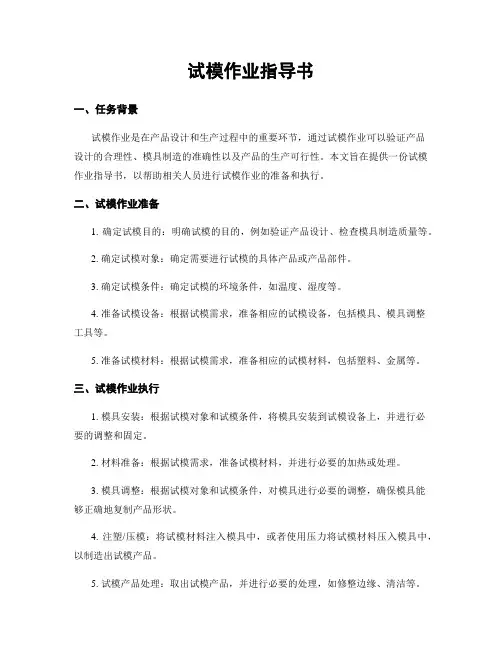 试模作业指导书