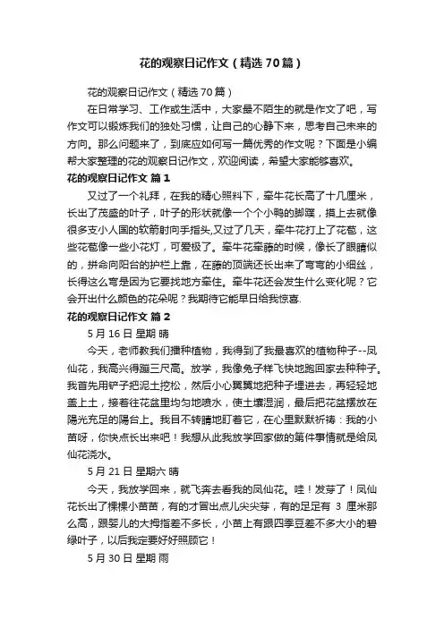 花的观察日记作文（精选70篇）