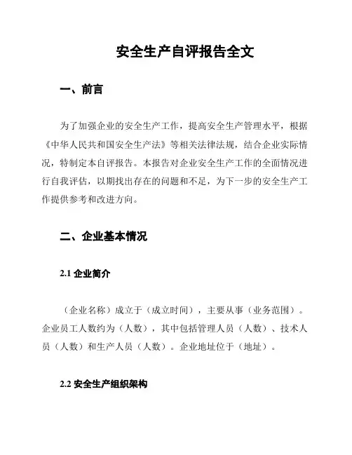 安全生产自评报告全文