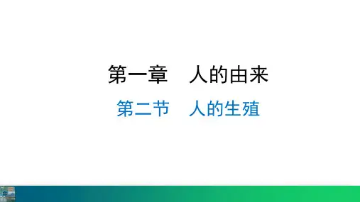 最新人教版初中生物 1-2人的生殖 教学课件