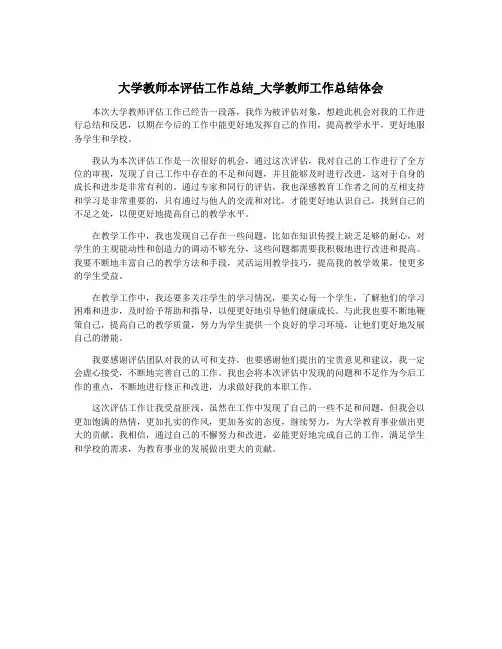 大学教师本评估工作总结_大学教师工作总结体会