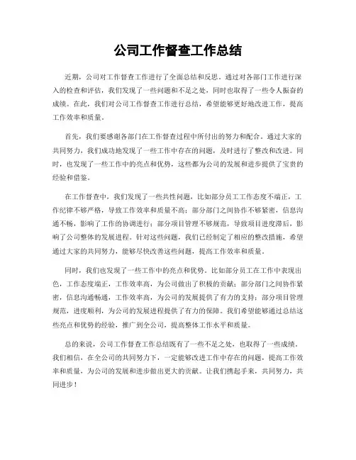 公司工作督查工作总结