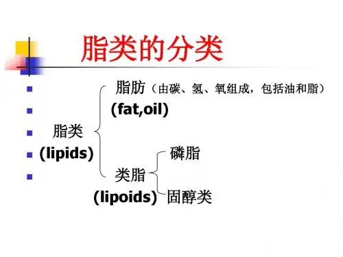 4脂 类