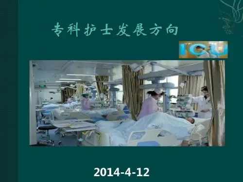 山西——专科护士发展方向ppt课件