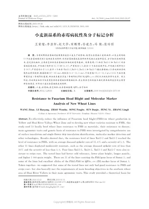 小麦新品系的赤霉病抗性及分子标记分析王紫檀　李浩阳　赵文莎　宋鹏博　孙道杰_冯　毅　张玲丽