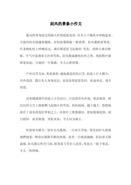刮风的景象小作文