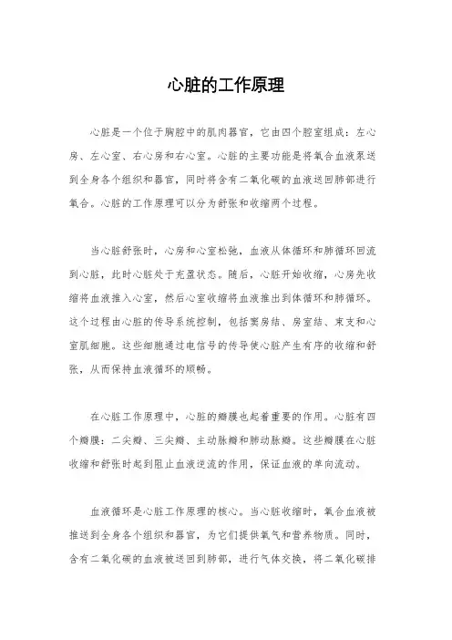 心脏的工作原理