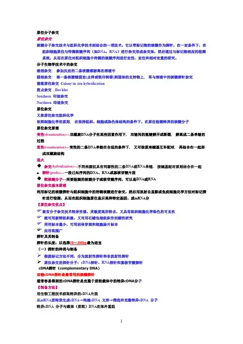原位杂交