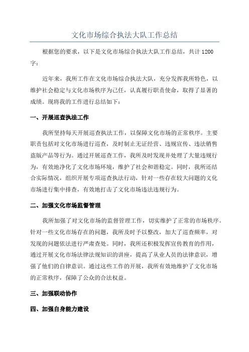 文化市场综合执法大队工作总结