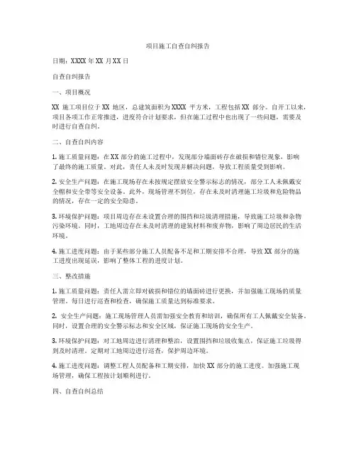 项目施工自查自纠报告