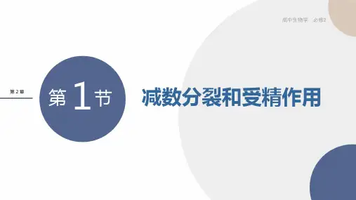 新教材-高中生物学-RJ-必修2第2章- 第1节
