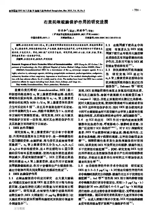 右美托咪啶脑保护作用的研究进展