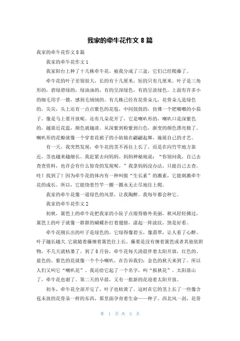 我家的牵牛花作文8篇