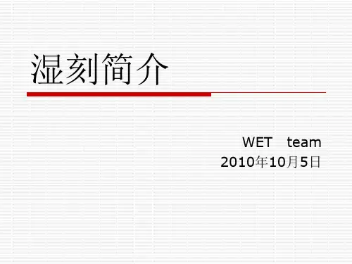 WET培训-WET
