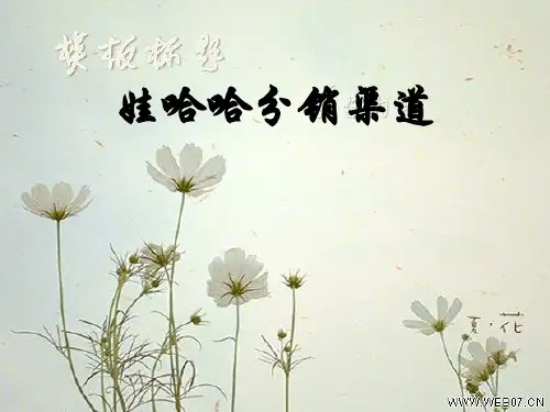 娃哈哈分销渠道