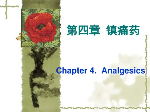 镇痛药课件PPT课件