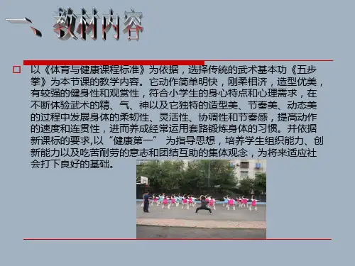 五步拳课件
