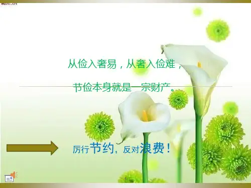 反对浪费ppt 厉行节约反对浪费(教育知识)