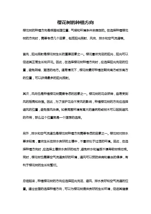樱花树的种植方向