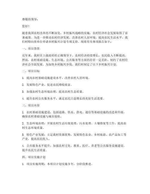 乡村振兴计划专项申请书