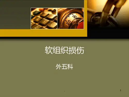 软组织损伤PPT课件