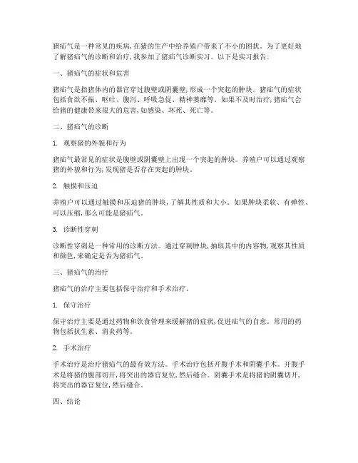猪疝气的诊断实习报告