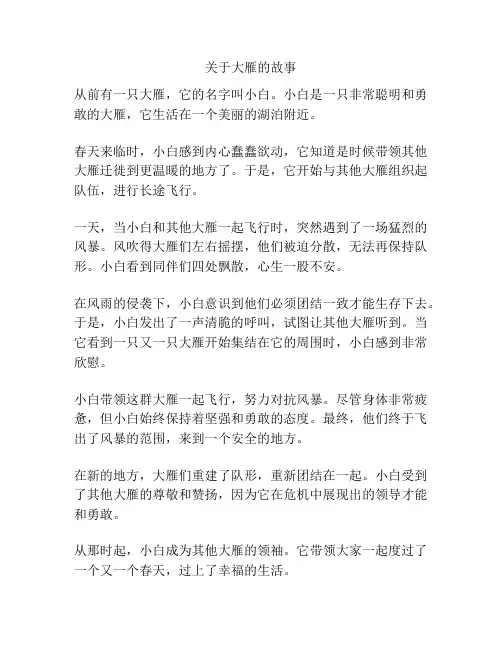 关于大雁的故事