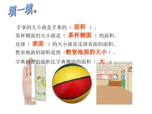 认识面积3