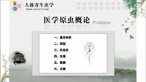 人体寄生虫学医学原虫概论