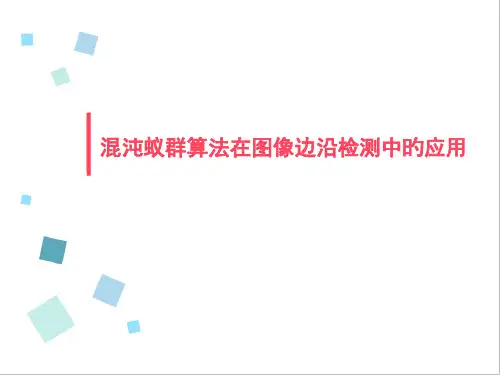 蚁群算法应用实例