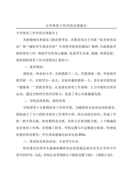 小学体育工作评估自查报告