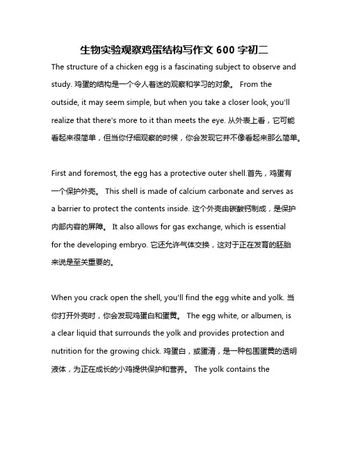 生物实验观察鸡蛋结构写作文600字初二