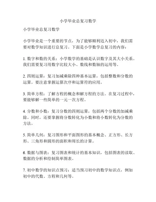 小学毕业总复习数学
