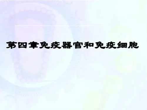 鱼类免疫学课件4-免疫系统