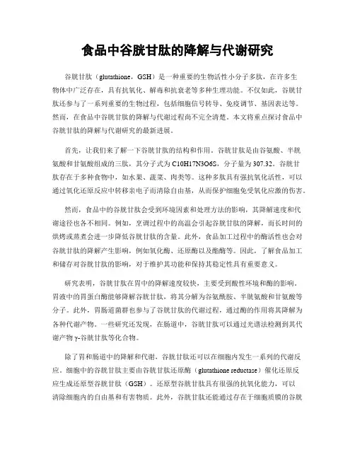 食品中谷胱甘肽的降解与代谢研究