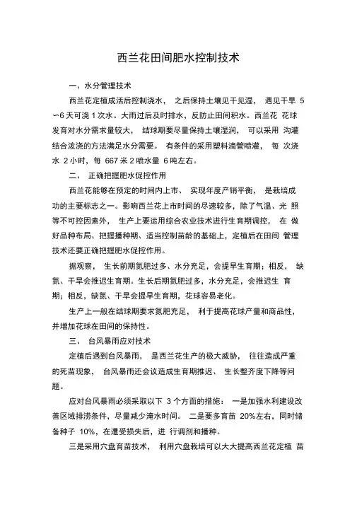 西兰花栽培技术