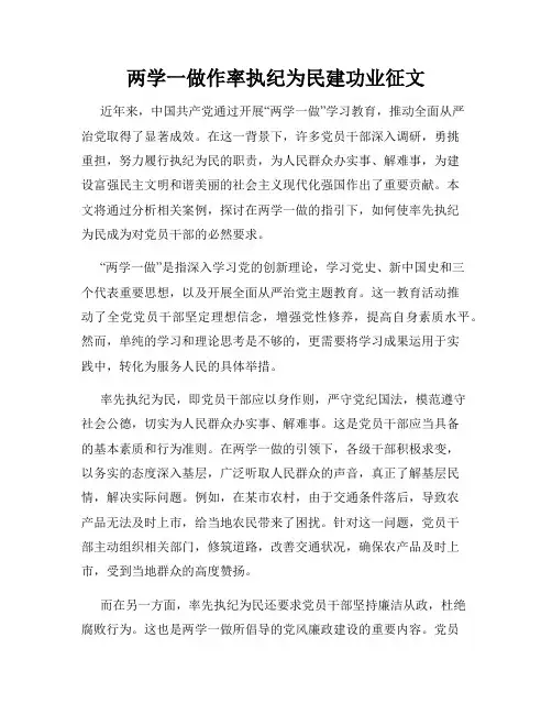 两学一做作率执纪为民建功业征文