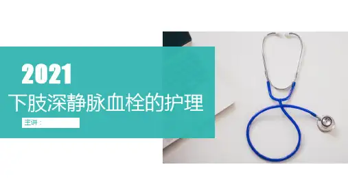 下肢深静脉血栓的护理(高质量PTT课件)