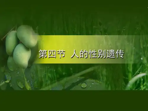 第四节人的性别遗传(人教版生物)