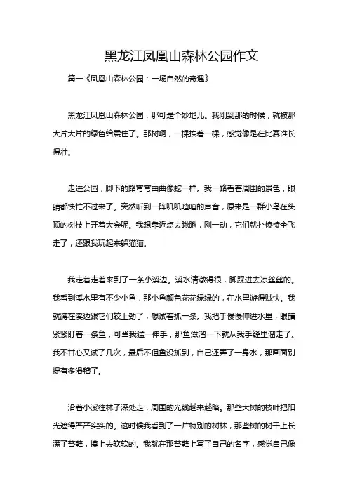 黑龙江凤凰山森林公园作文