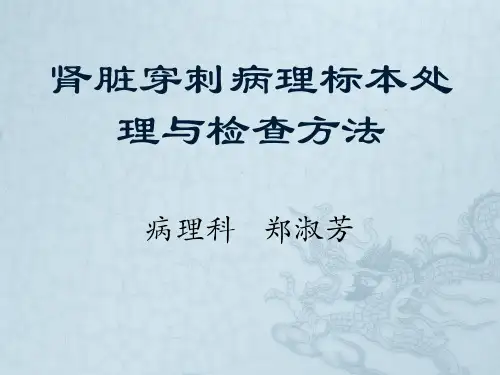 肾脏穿刺病理标本处理与检查方法