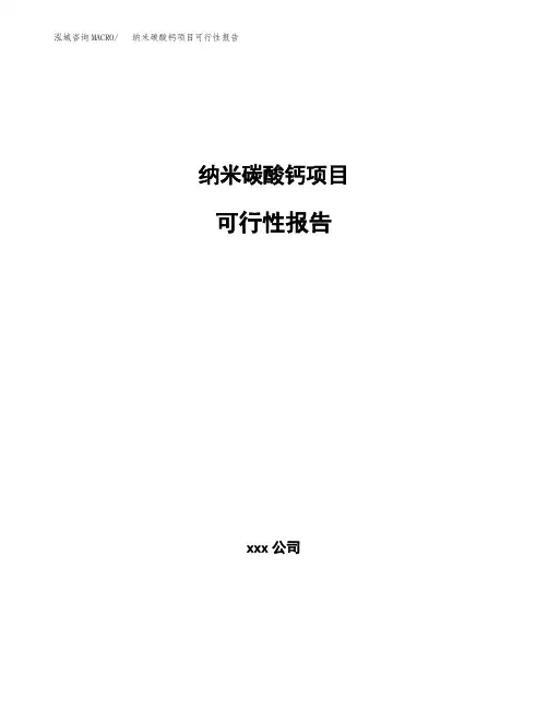 纳米碳酸钙项目可行性报告参考范文